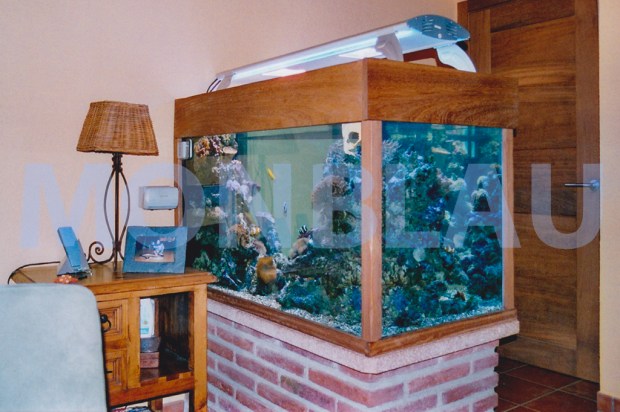 Aquari natural aigua marina