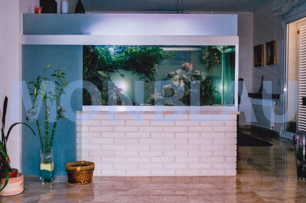 Aquari aigua marina