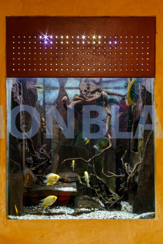 RCG_20160213-003-F-Edit